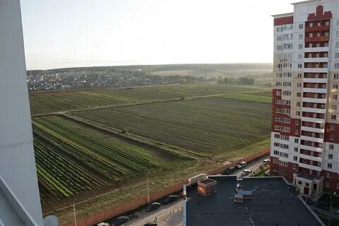 Погода внииссок сегодня