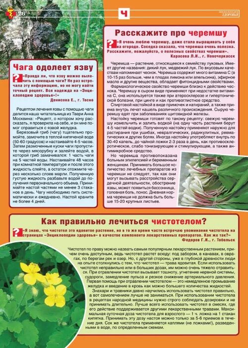 Как правильно использовать чистотел. Чистотел от онкологии. чистотел в онкологии. чистотел против онкологии -рецепты.