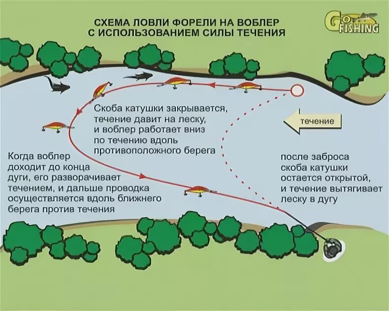 Форель на платниках осенью: на что ловить в сентябре, октябре, ноябре, снасти дл