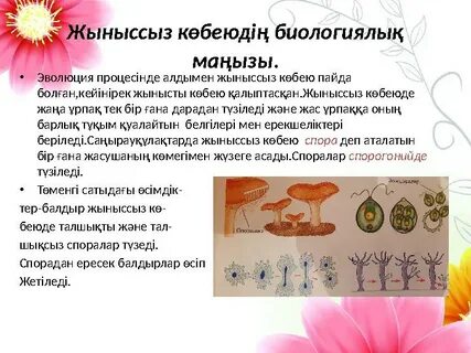 Қостанайдағы жалаңаш қыздар