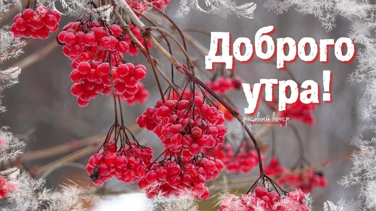 Красивого утра февраля