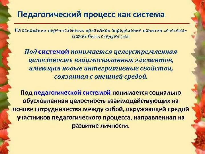 Определение учебно образовательного процесса. Определение учебно образовательного процесса