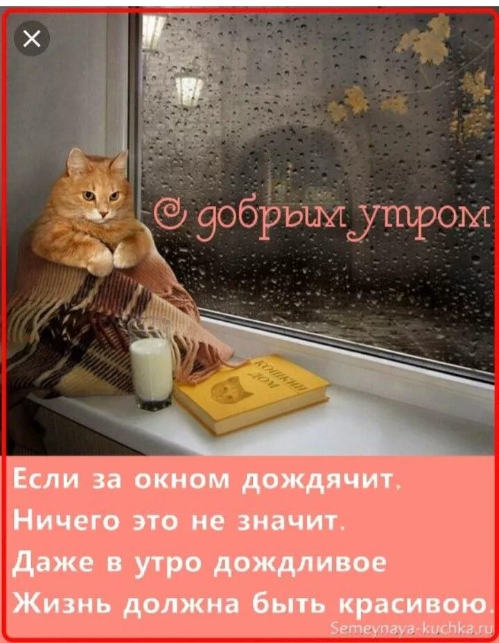 Ответы Mail.ru: А осенняя погода соответствует вашему настроению?