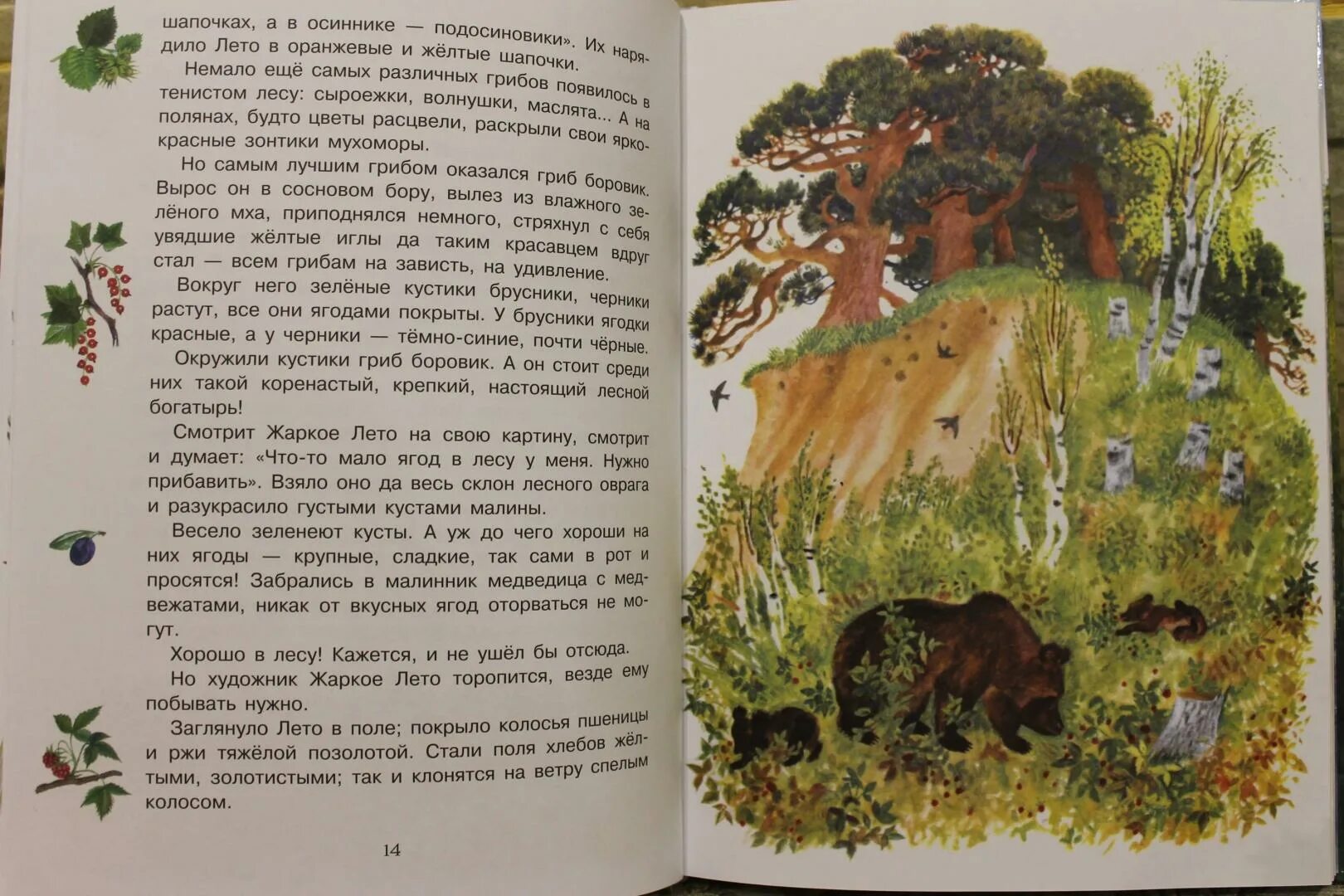 Микитов рассказы о природе. Лес осенью соколов-микитов. лето в лесу книга соколов-микитов. рассказы о природе скребицкого. г скребицкий рассказы о природе 4 класс.