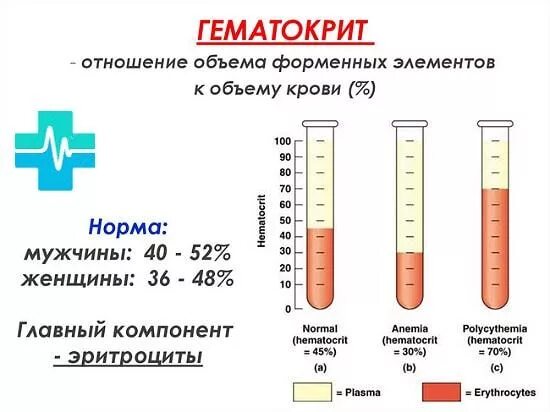 Гематокрит повышен у ребенка. Гематокрит это отношение объема форменных элементов крови к. Гематокрит 394. Показатель гематокрита у мужчин в норме. Гематокрит норма у женщин по возрасту таблица.