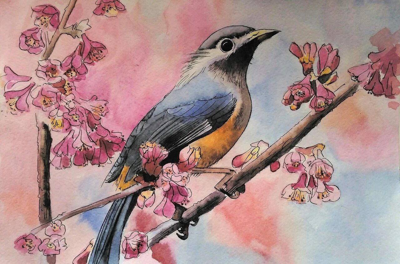 Птица рисунок. Красивые рисунки птиц. Весенние птицы рисунки. Ptica risunk.