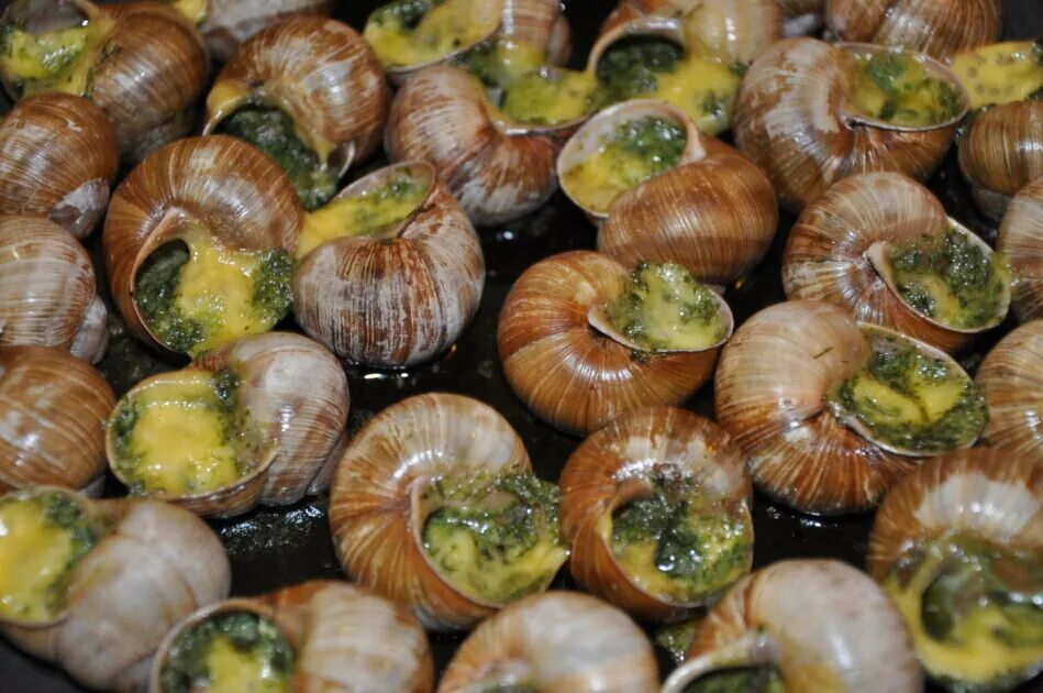 Улитка кг. Helix pomatia Виноградная улитка. Улитка Виноградная escargots. Эскарго улитки Греция. Личинка виноградной улитки.