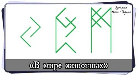 Став яблоня