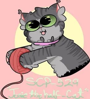 Scp кот