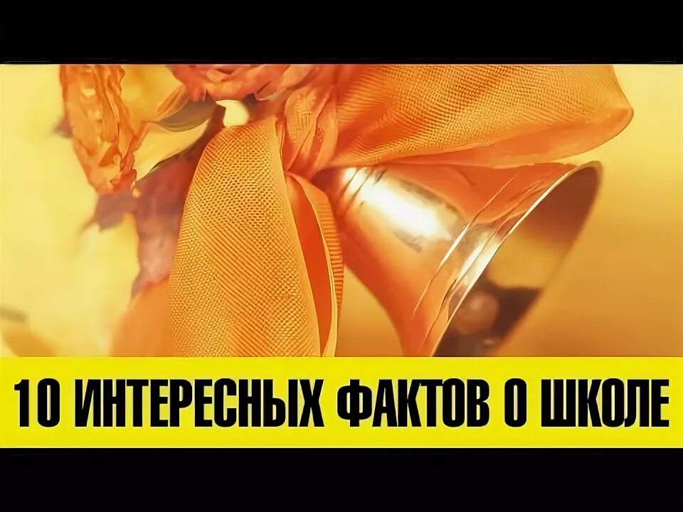 10 интересных фактов о школах. Интересные факты о школе для школьников. 10 интересных фактов о школах. Сестрички лайф наше школьное утро. 10 фактов о школах.