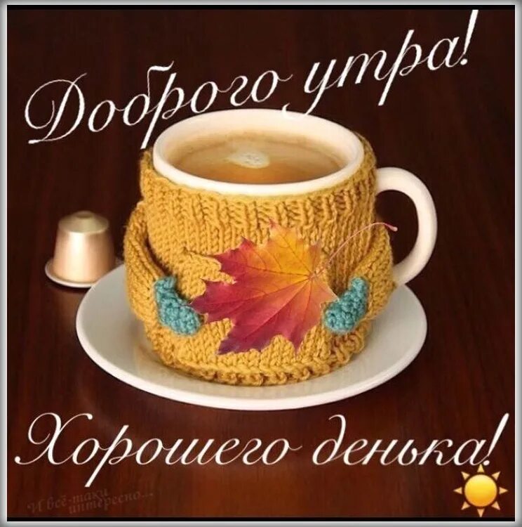 Доброго утра и интересного дня. Доброе утро хорошего дея. доброе утро и зорошшегодня. доброе у ро хорошего дня. доброетутро хорошего дня.