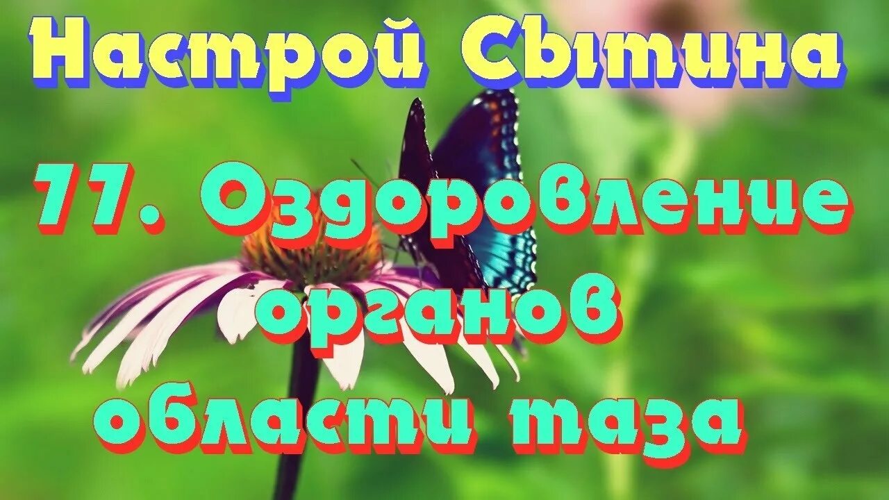 Настрои Сытина на оздоровление. Настрой на оздоровление всего организма. Настрой Сытина для органов таза для женщин.