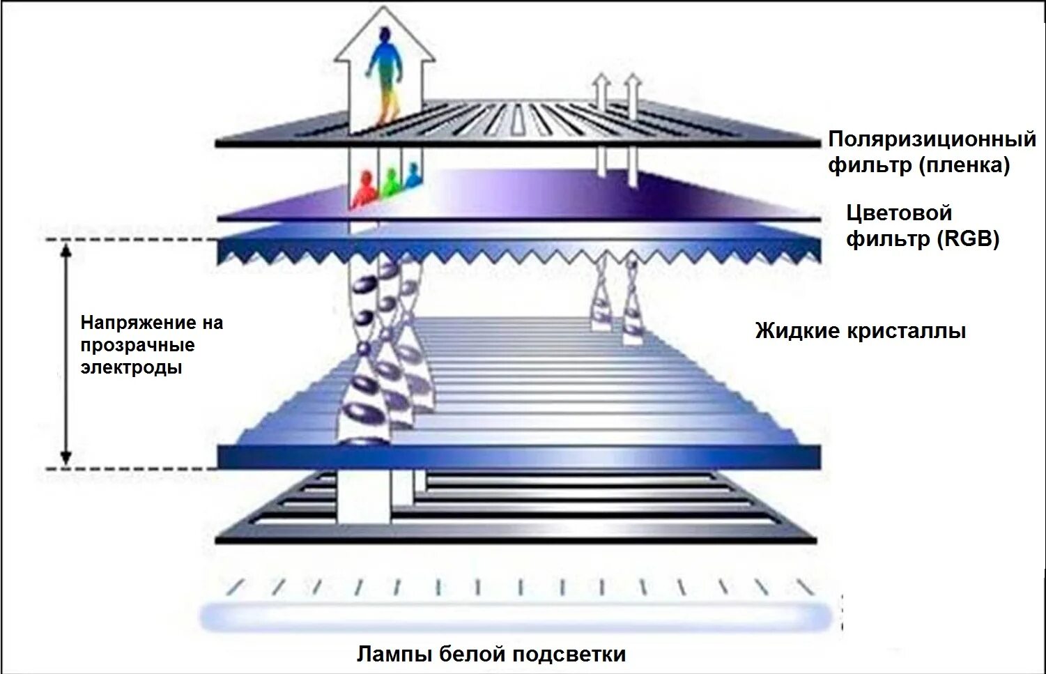 Принцип работы жк. ЖК дисплей схема принцип работы. Принцип действия LCD мониторов. Строение лсд монитора. Жидкокристаллические мониторы схема.