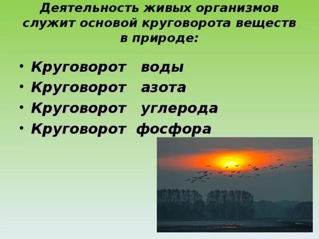 Природные закономерности примеры. Основные законы устойчивости живой природы. Основные закономерности устойчивости живой природы. Основные законы устойчивости живой природы таблица. Основные законы устойчивости живой природы кратко.