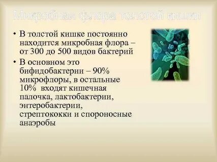 Какую положительную роль играет микрофлора толстого кишечника