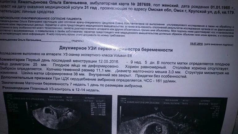 Шейка 6 недель. Размеры плодного яйца по неделям УЗИ. Размер плодного яйца в 5 недель беременности по УЗИ. КТР 5-6 недель беременности УЗИ. 5 Мм плодное яйцо срок беременности.