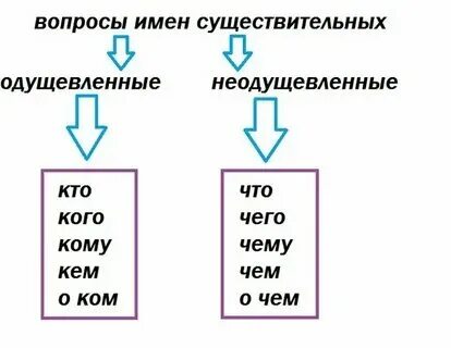 Какое существительное отвечает на вопрос что