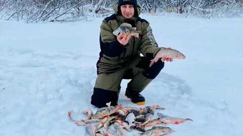 Зимняя рыбалка минск