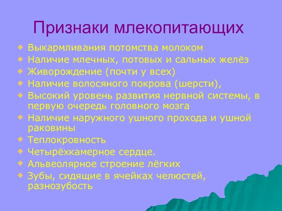 Выберите общий признак млекопитающих. Признаки млекопитающих. Характерные признаки млекопитающих. Основные признаки млекопитающих животных. Основной признак млекопитающих.