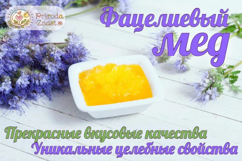 Мед фацелия eCookie.ru