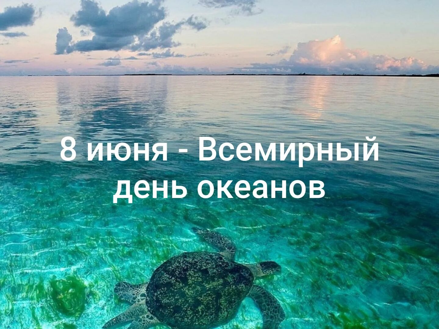 Жизнь океанов. День океанов. 8 июня всемирный день океанов. всемирный день морей и океанов. открытка всемирный день океанов.