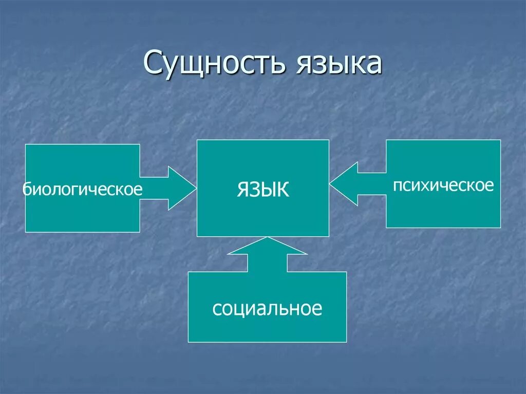 Суть языка. Сущность языка. Природа и сущность языка. Социальная сущность языка. Сущность и функции языка.