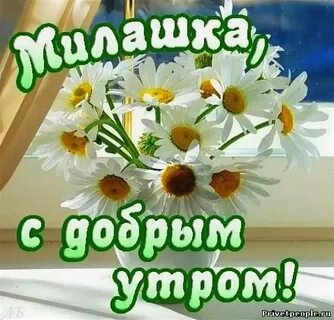 С добрым красотка картинки