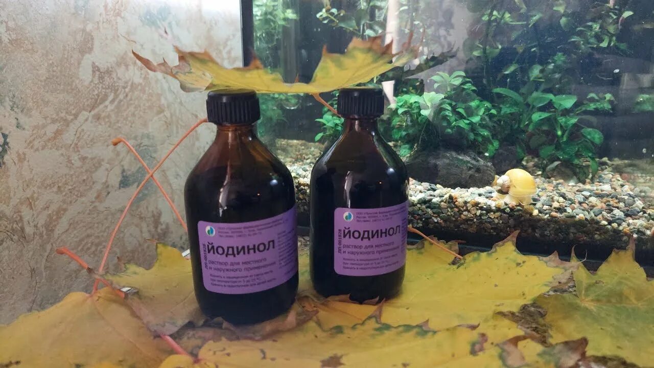 Йодинол в аквариуме дозировка