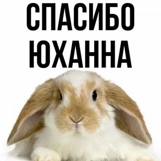 Как пишется имя юлиана