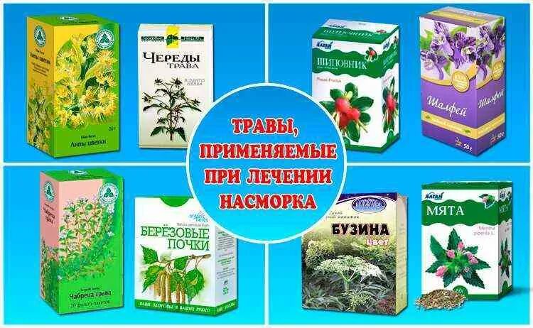 Лекарственные растения при насморке. Травы от насморка. Травы от заложенности носа. Травы от кашля и насморка. Какие травы пить при кашле