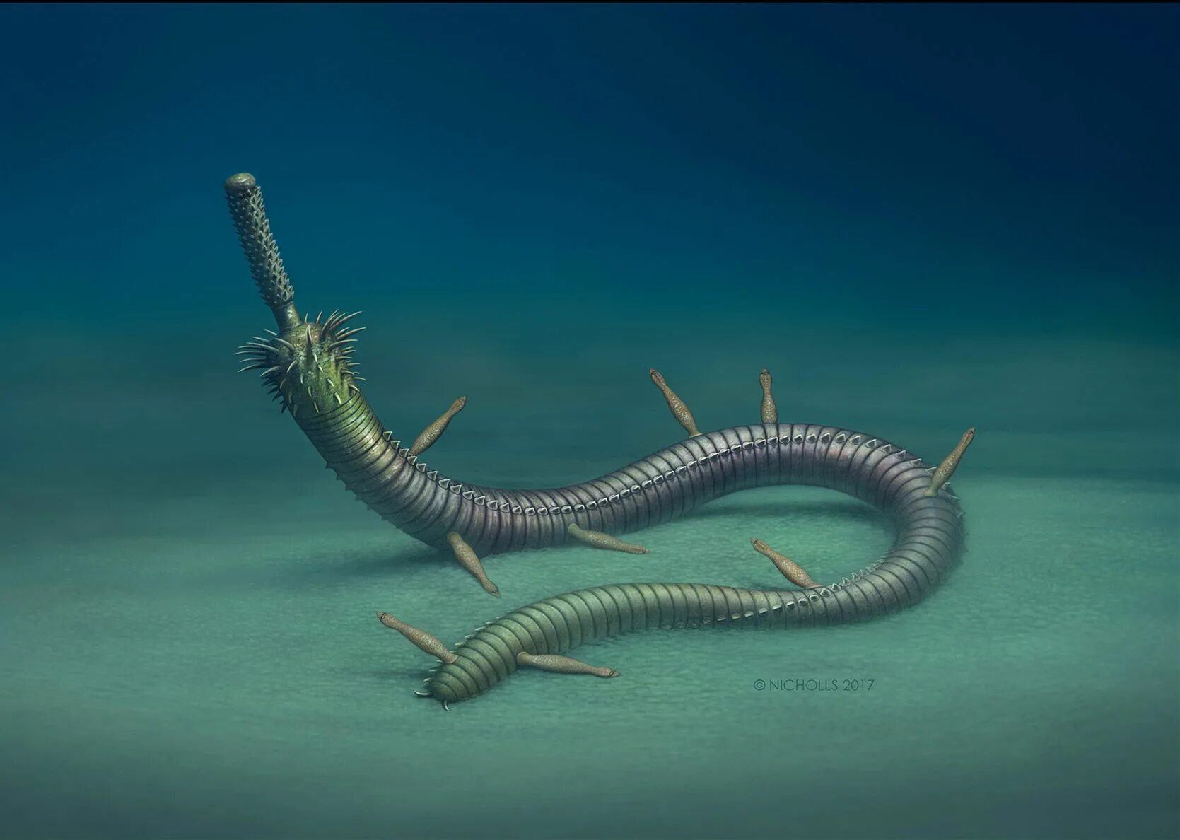 Кольчатые черви протерозой. Черви кембрийского периода. Кольчатые черви палеозой. Многощетинковые черви. Первые кольчатые черви