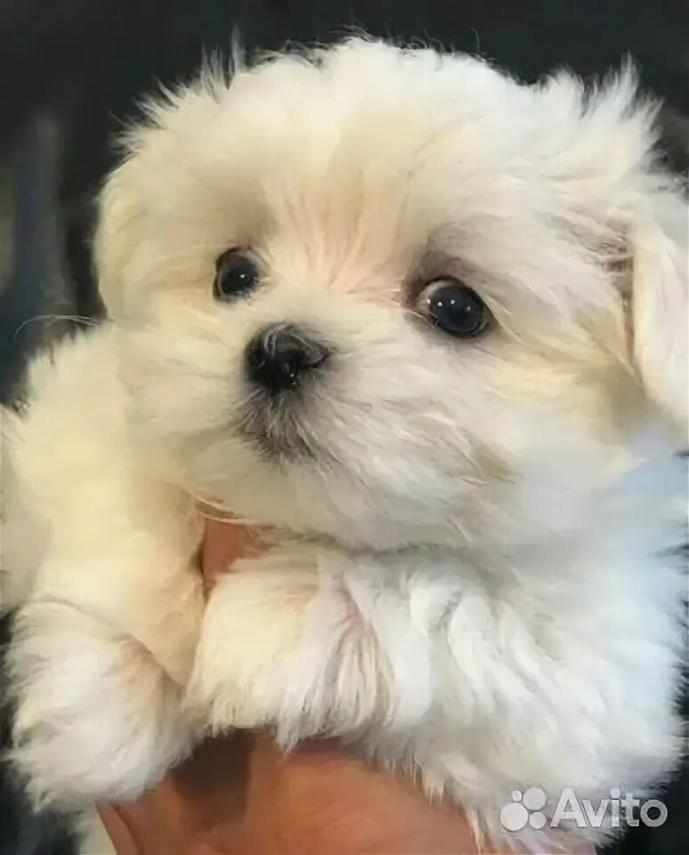 Pin on cute