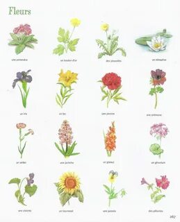 Des fleurs перевод