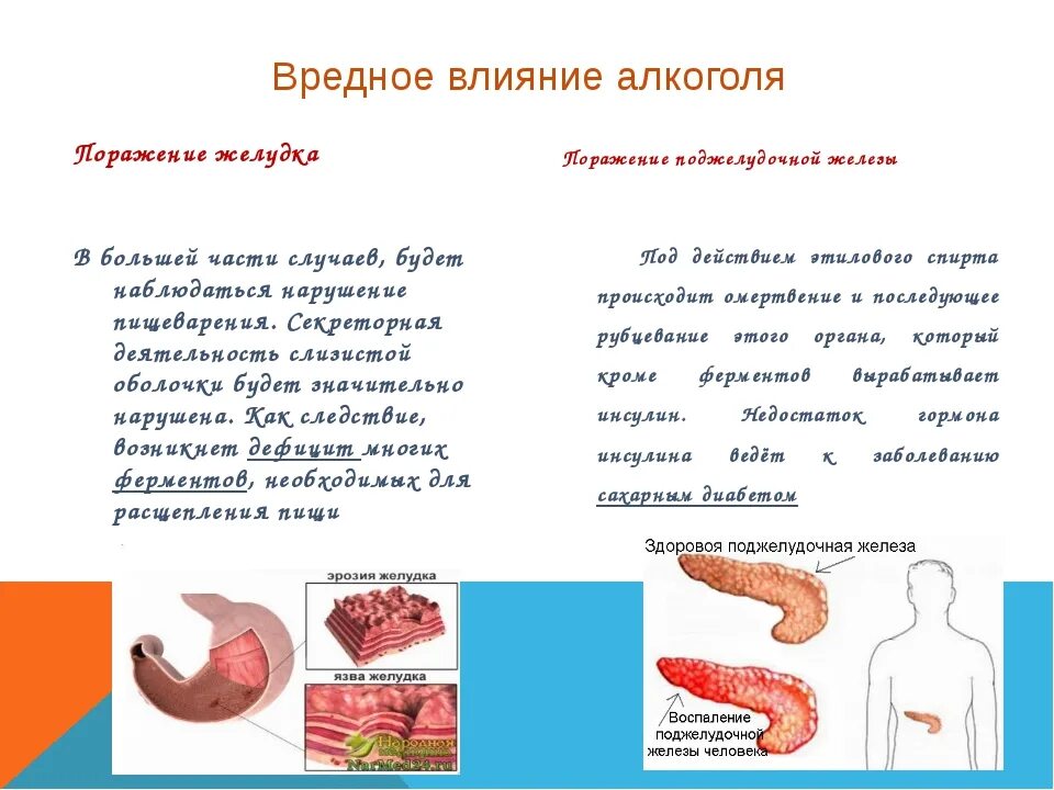 Влияние печени на поджелудочную