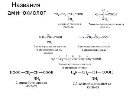 Амины егэ тест