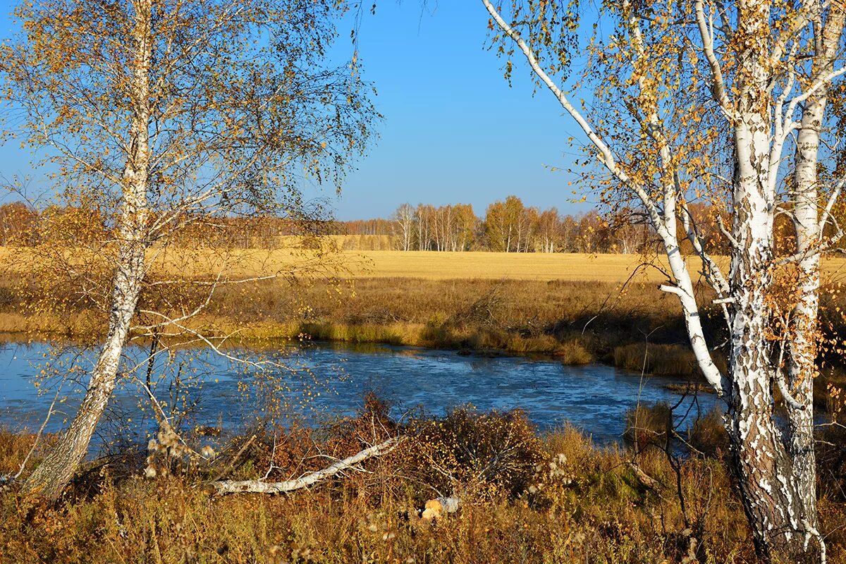 Природа Зауралья Курганская область. Пейзажи Зауралья. Зауральский пейзаж.