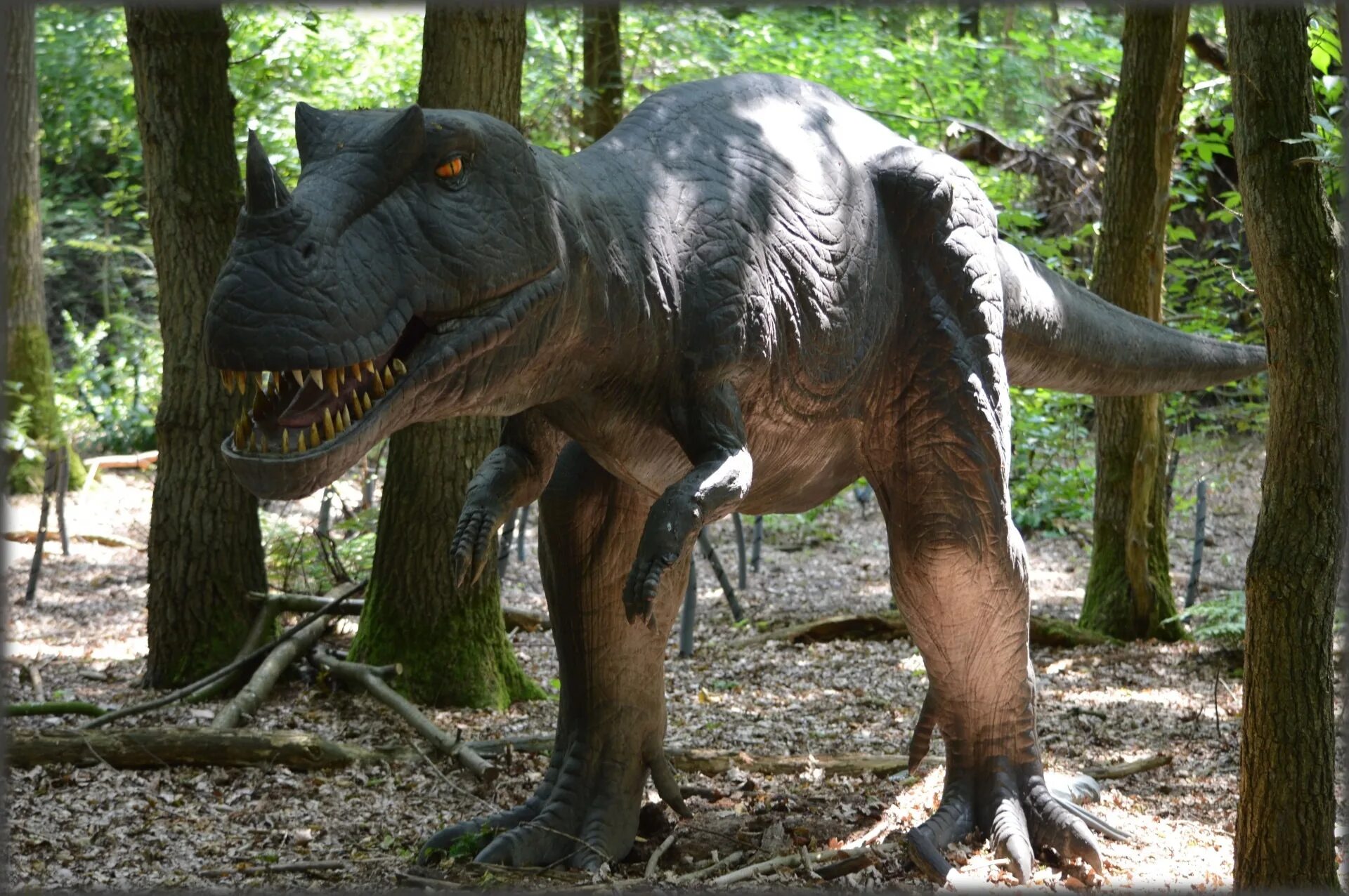 Динозавры это животные. Древние животные. Доисторические животные. Динозавры. Хищные динозавры.