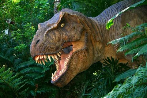 Интересные факты о динозаврах.