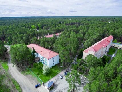 Лесники отдых