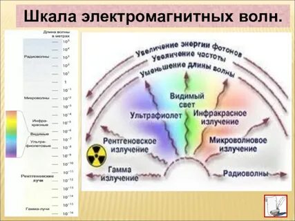 Перечислите виды электромагнитных