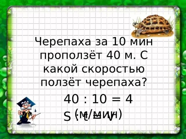 Turtle задачи. Черепаха ползет со скоростью. Скорость черепахи в минуту. Черепашек решить задачу 1кламс. Скорость черепахи метров в минуту