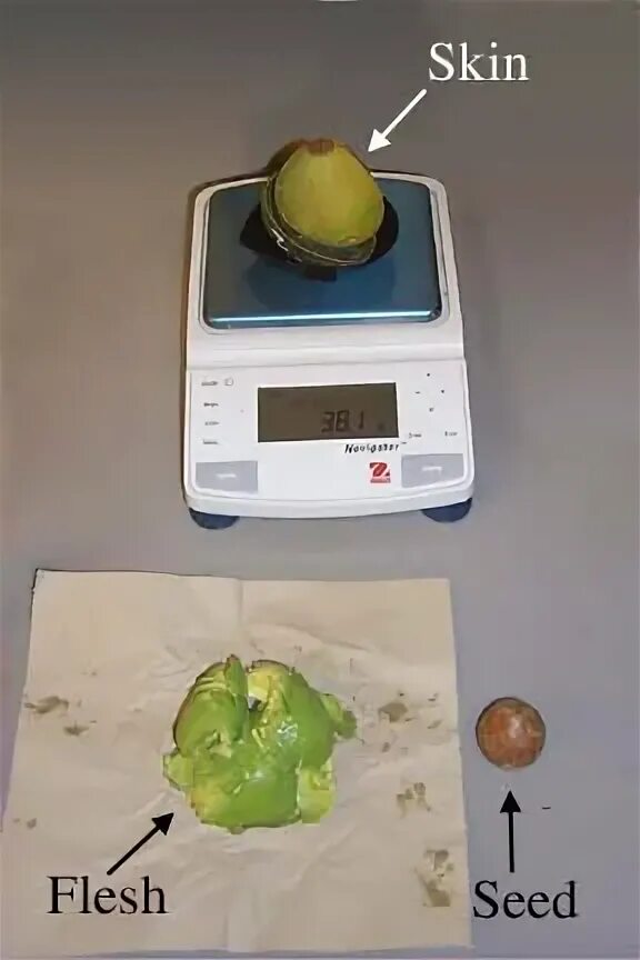 Вес 1 авокадо без косточки и кожуры. Авокадо на весах. Авокадо грамм. Авокадо, вес. Сколько весит авокадо без кожуры и косточки