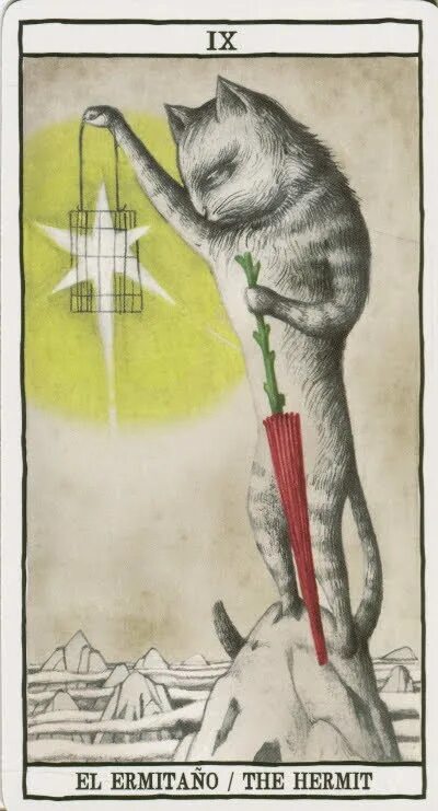 Таро коты значение. Карты таро кошек от анны хуан. таро кошек аны хуан (tarot cats by ana juan) галерея.