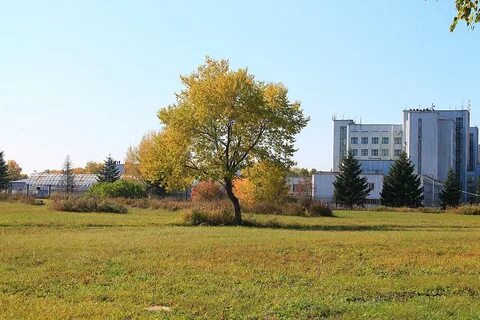 Краснообск улицы