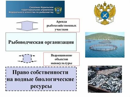 Водные объекты муниципальной собственности