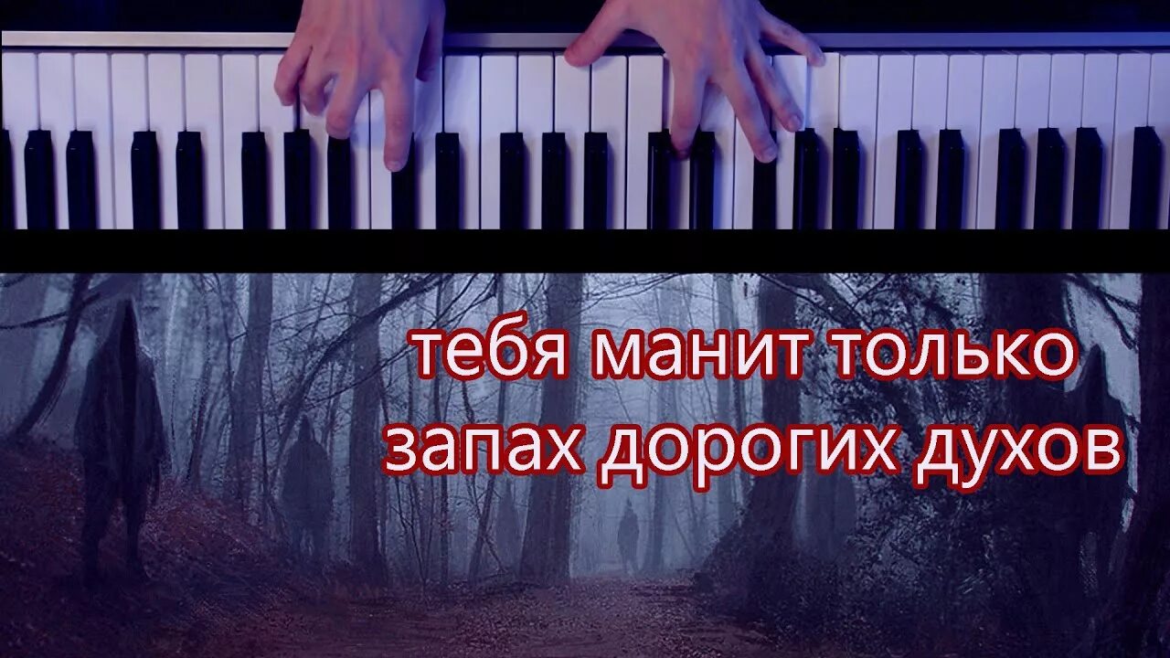 Тебя манит только запах дорогих духов. Духи на фортепьяно. Пианино духи. Тебя манит запах дорогих.