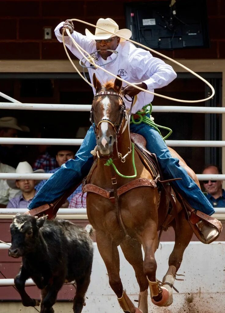 Rodeo speed. Родео. cowboy rodeo.