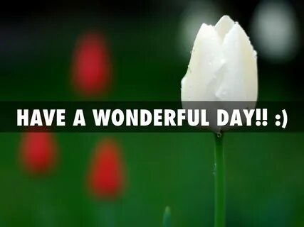 Wonderful day