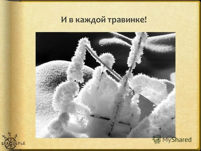 какое счастье просто жить стихи. любишь каждую травинку. любишь каждую травинку. стихи о жизни и счастье. любишь каждую травинку.