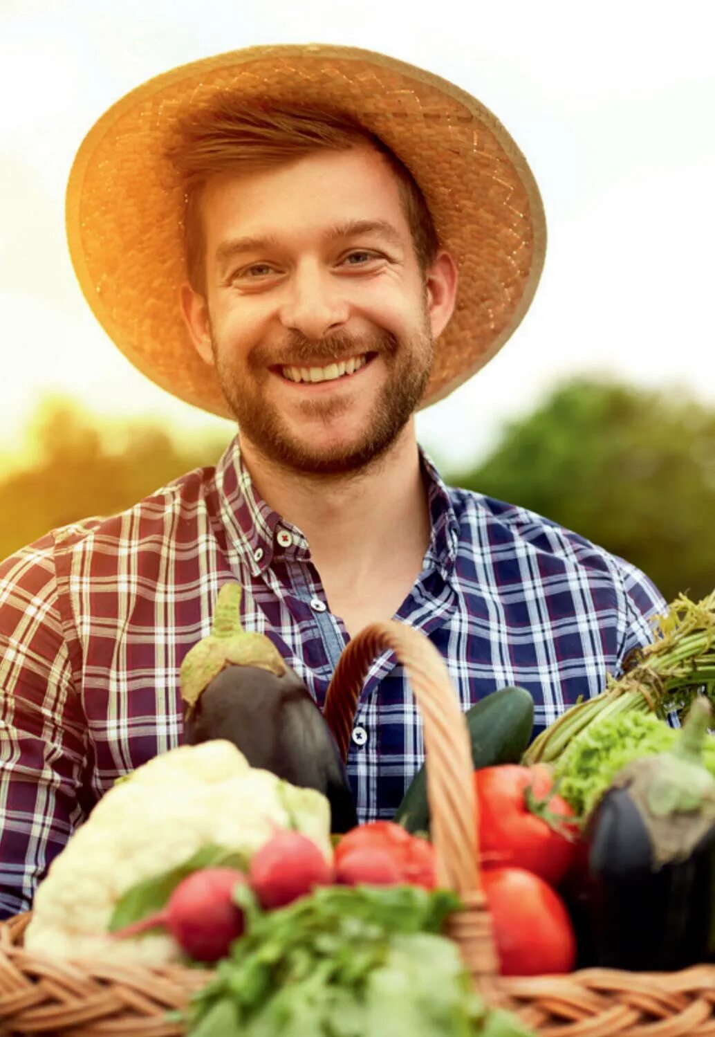 Семена льна пачка. Лен фермер. Лен фермер. Грант наш фермер. Гранд фермер.